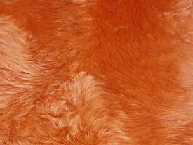 Оранжевый круглый овчина четырехшкурная ORANGE 04SS 2001
